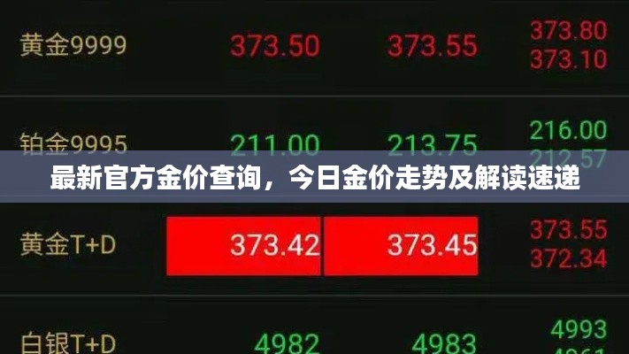 最新官方金價(jià)查詢，今日金價(jià)走勢(shì)及解讀速遞