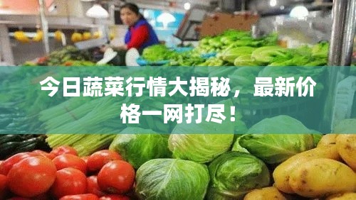 今日蔬菜行情大揭秘，最新價格一網(wǎng)打盡！