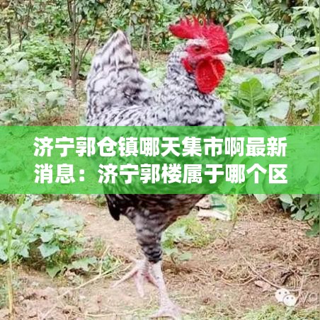 濟寧郭倉鎮(zhèn)哪天集市啊最新消息：濟寧郭樓屬于哪個區(qū) 