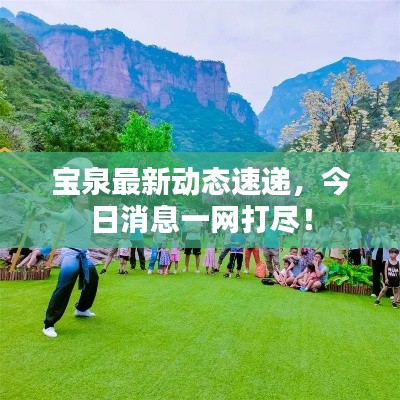 寶泉最新動(dòng)態(tài)速遞，今日消息一網(wǎng)打盡！
