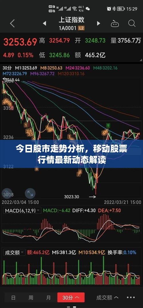 今日股市走勢分析，移動股票行情最新動態(tài)解讀