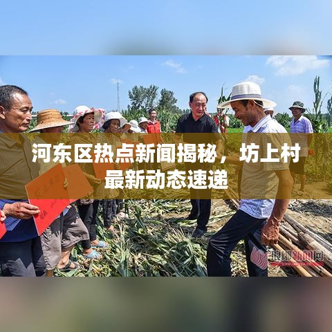 河?xùn)|區(qū)熱點(diǎn)新聞揭秘，坊上村最新動態(tài)速遞