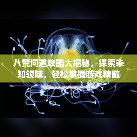 八荒問道攻略大揭秘，探索未知領域，輕松掌握游戲精髓