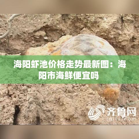 海陽蝦池價格走勢最新圖：海陽市海鮮便宜嗎 