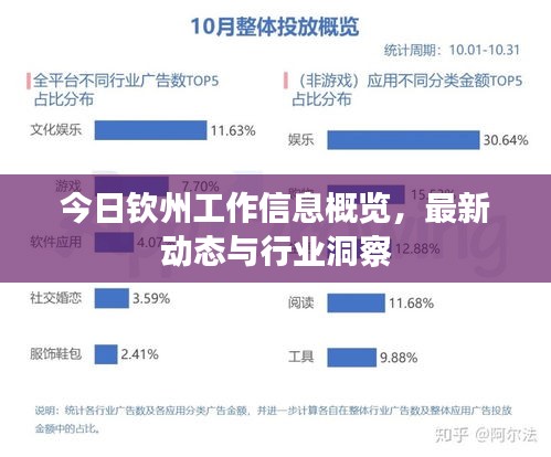 今日欽州工作信息概覽，最新動態(tài)與行業(yè)洞察