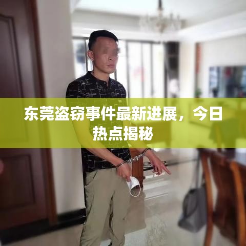 東莞盜竊事件最新進(jìn)展，今日熱點(diǎn)揭秘