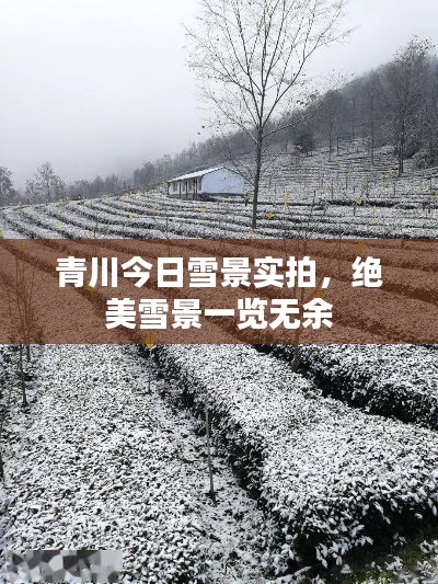 矯揉造作 第3頁
