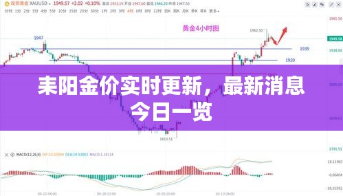 耒陽金價實時更新，最新消息今日一覽