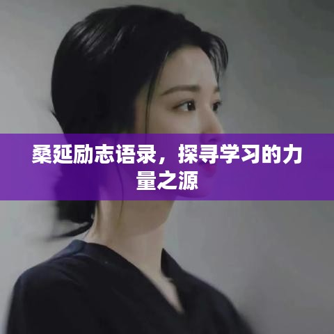 桑延勵志語錄，探尋學習的力量之源