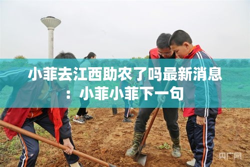 小菲去江西助農(nóng)了嗎最新消息：小菲小菲下一句 