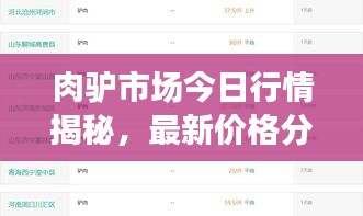 肉驢市場今日行情揭秘，最新價格分析與趨勢預測