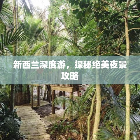 新西蘭深度游，探秘絕美夜景攻略
