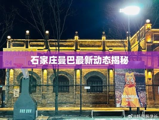 石家莊曼巴最新動態(tài)揭秘