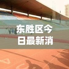 東勝區(qū)今日最新消息速遞
