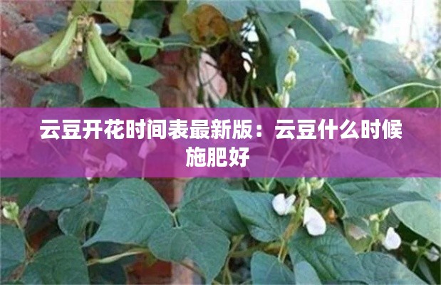 云豆開(kāi)花時(shí)間表最新版：云豆什么時(shí)候施肥好 