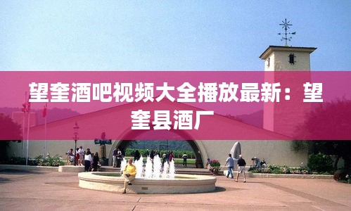 望奎酒吧視頻大全播放最新：望奎縣酒廠 