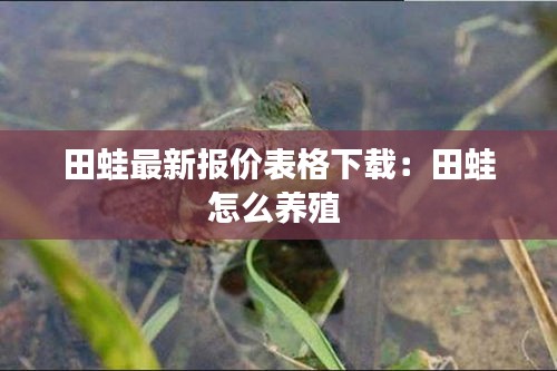 田蛙最新報(bào)價(jià)表格下載：田蛙怎么養(yǎng)殖 