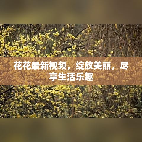 花花最新視頻，綻放美麗，盡享生活樂趣