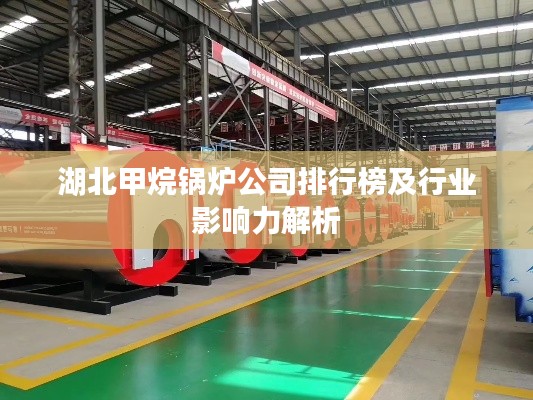 湖北甲烷鍋爐公司排行榜及行業(yè)影響力解析