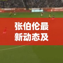 張伯倫最新動態(tài)及圖片速遞