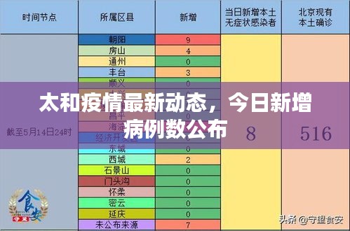 潔身自好 第3頁(yè)