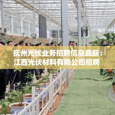 撫州光伏業(yè)務(wù)招聘信息最新：江西光伏材料有限公司招聘 