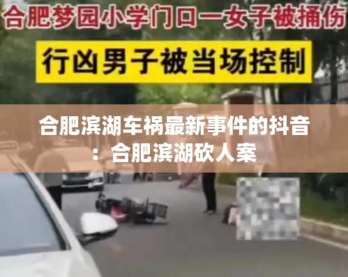 合肥濱湖車禍最新事件的抖音：合肥濱湖砍人案 