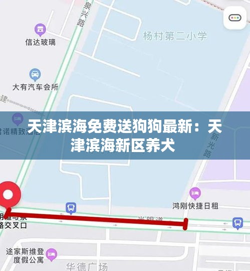 天津?yàn)I海免費(fèi)送狗狗最新：天津?yàn)I海新區(qū)養(yǎng)犬 