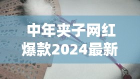 中年夾子網(wǎng)紅爆款2024最新款：適合中年人的發(fā)夾 