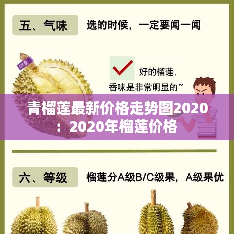 青榴蓮最新價(jià)格走勢圖2020：2020年榴蓮價(jià)格 