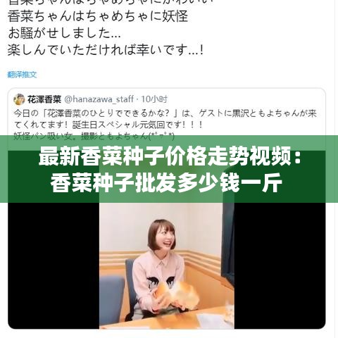 最新香菜種子價格走勢視頻：香菜種子批發(fā)多少錢一斤 