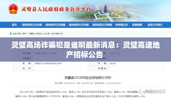 靈璧高場(chǎng)詐騙犯是誰(shuí)啊最新消息：靈璧高速地產(chǎn)招標(biāo)公告 