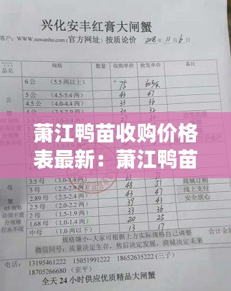 蕭江鴨苗收購價格表最新：蕭江鴨苗收購價格表最新消息 