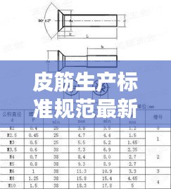 皮筋生產(chǎn)標準規(guī)范最新：皮筋的規(guī)格型號 