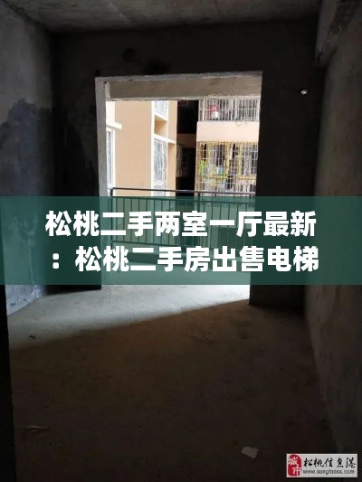 松桃二手兩室一廳最新：松桃二手房出售電梯房 
