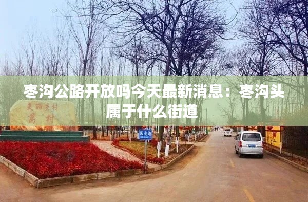 棗溝公路開放嗎今天最新消息：棗溝頭屬于什么街道 