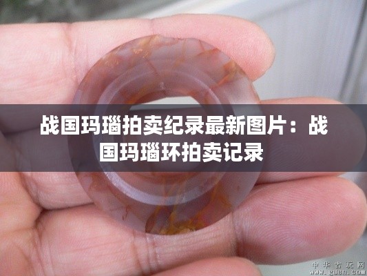 戰(zhàn)國瑪瑙拍賣紀(jì)錄最新圖片：戰(zhàn)國瑪瑙環(huán)拍賣記錄 