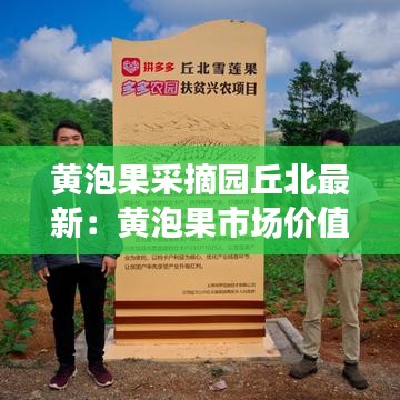 黃泡果采摘園丘北最新：黃泡果市場(chǎng)價(jià)值 