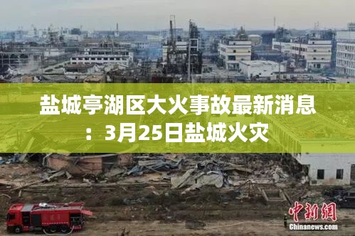 騰龍換鳥(niǎo) 第3頁(yè)