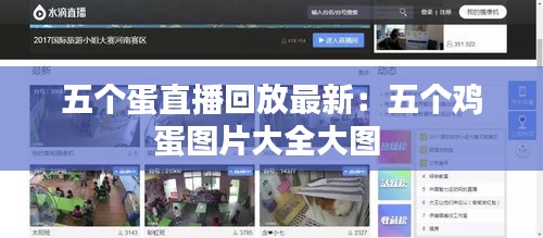 五個蛋直播回放最新：五個雞蛋圖片大全大圖 