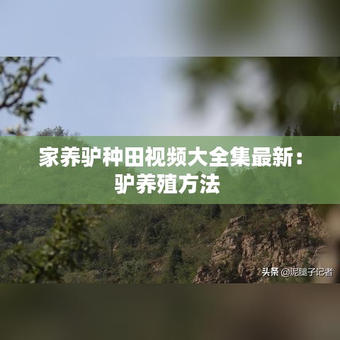 家養(yǎng)驢種田視頻大全集最新：驢養(yǎng)殖方法 