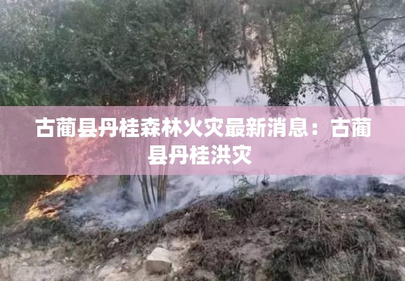 古藺縣丹桂森林火災(zāi)最新消息：古藺縣丹桂洪災(zāi) 