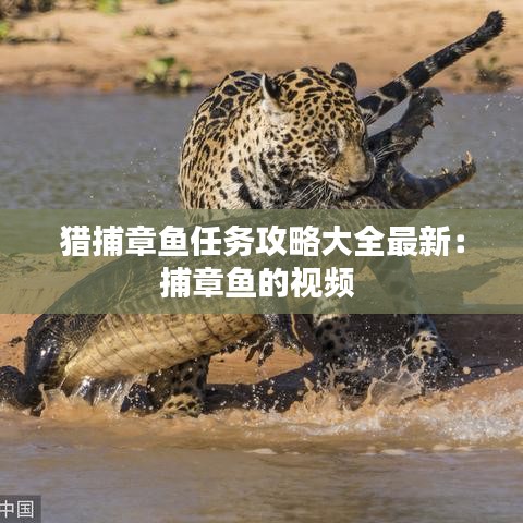 獵捕章魚任務(wù)攻略大全最新：捕章魚的視頻 