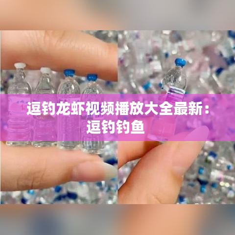 逗釣龍蝦視頻播放大全最新：逗釣釣魚 