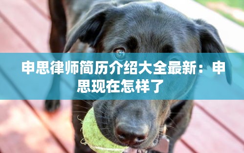 申思律師簡歷介紹大全最新：申思現(xiàn)在怎樣了 