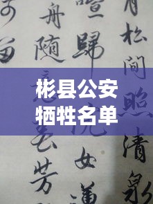 慘淡經(jīng)營 第3頁