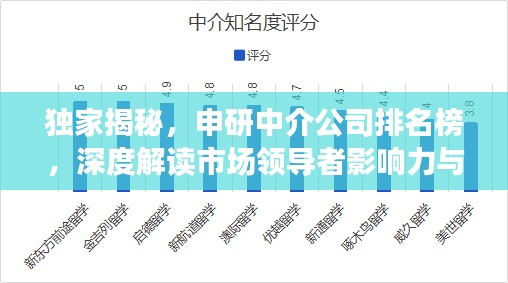 獨(dú)家揭秘，申研中介公司排名榜，深度解讀市場(chǎng)領(lǐng)導(dǎo)者影響力與服務(wù)質(zhì)量！