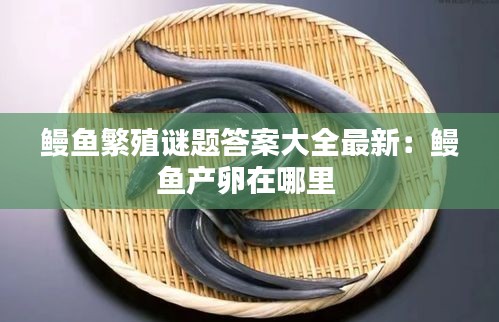鰻魚繁殖謎題答案大全最新：鰻魚產(chǎn)卵在哪里 