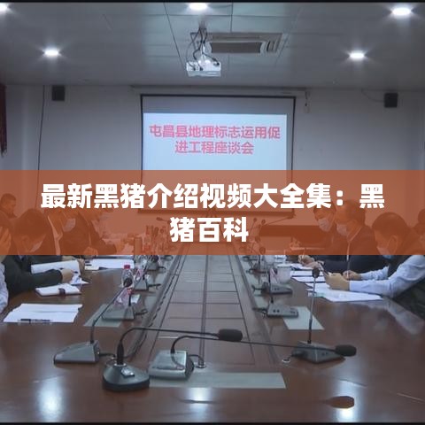 最新黑豬介紹視頻大全集：黑豬百科 