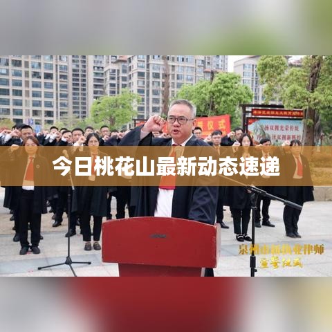 今日桃花山最新動態(tài)速遞